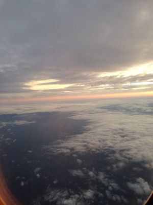 d0191206_87848.jpg