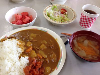 訪問ライブとカレーライスと深谷ネギとカラオケと。_c0227407_11153595.jpg