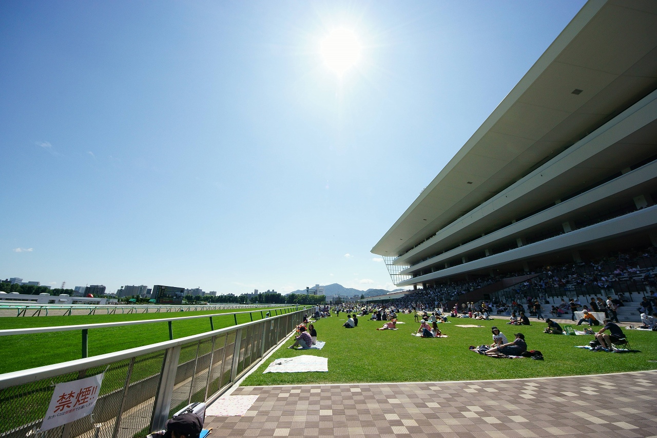 新装成ったＪＲＡ札幌競馬場へ～②馬場にて_b0225108_22273380.jpg