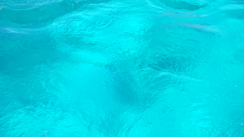 b0237408_0888.jpg