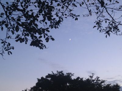 横顔三日月_e0239908_19341086.jpg
