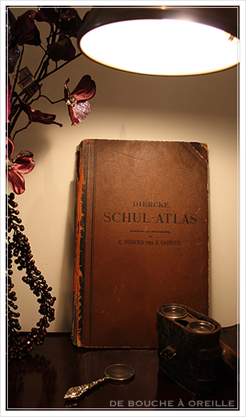 SCHUL-ATLAS ドイツ製の古い地図帳_d0184921_13355435.jpg
