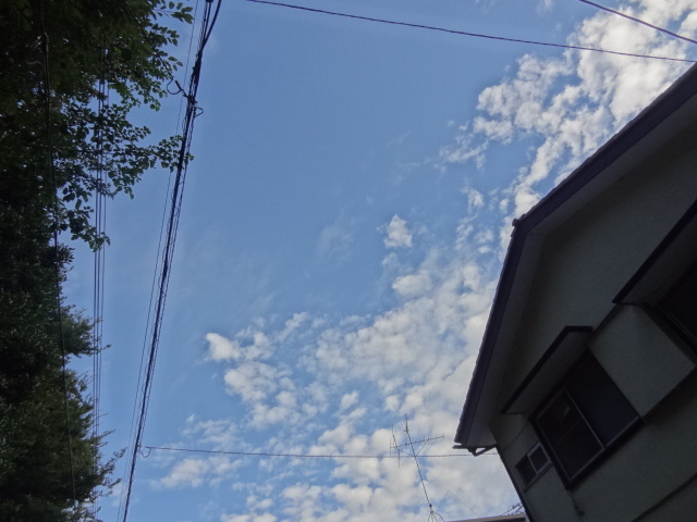オレ流体操がイロイロに対する武器なのだ_e0016828_1132949.jpg