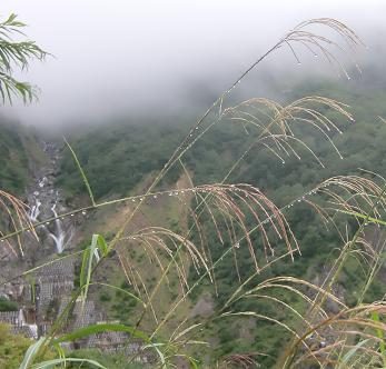 先の見えない白山登山_b0137933_10243493.jpg