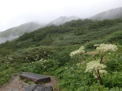 先の見えない白山登山_b0137933_10384038.jpg