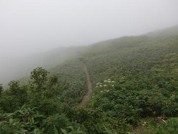 b0137933_1154723.jpg
