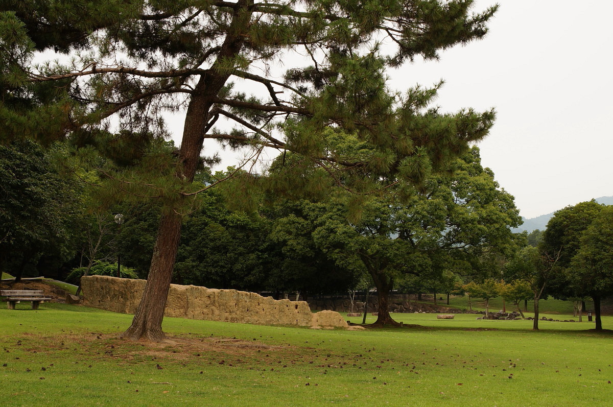 古寺探訪～奈良篇③～「興福寺」と奈良公園_e0132243_2250424.jpg