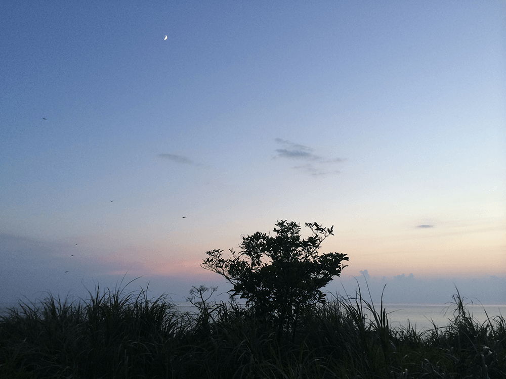 ８月最後の夕日_f0229844_20103119.png