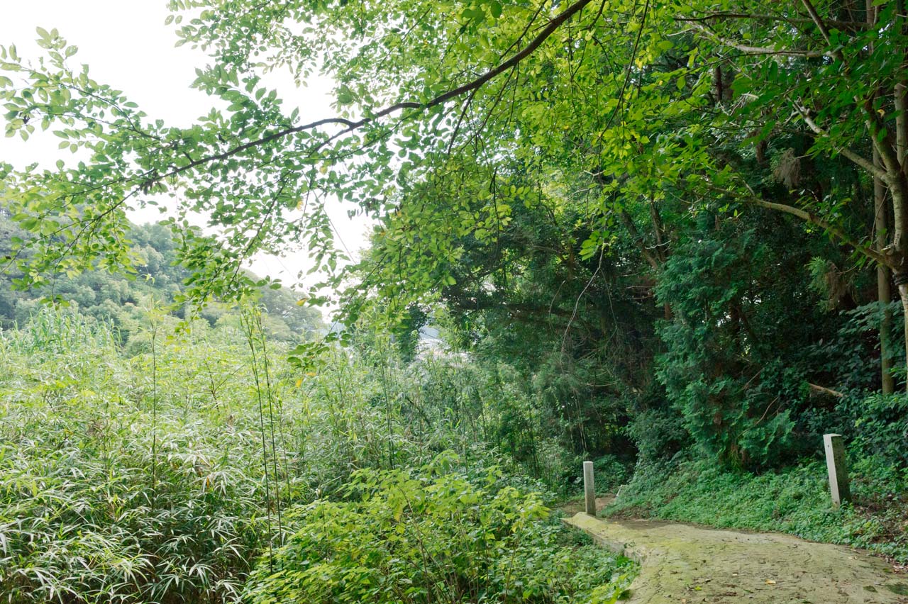 若宮神社（櫻谷神社）　福岡県糸島市志摩船越_b0023047_05070265.jpg