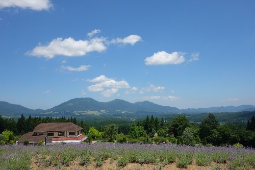 f0133847_2012365.jpg