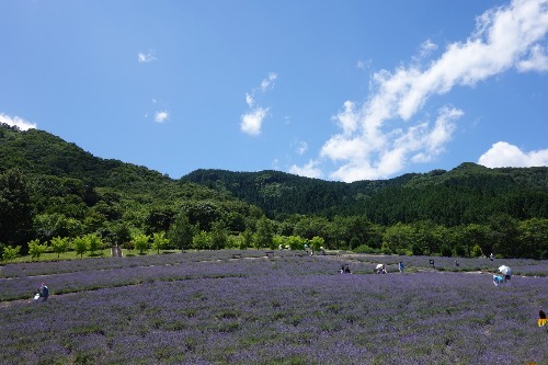 夏が終わらないうちに。。。_f0133847_20135422.jpg