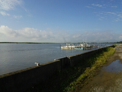 a0315448_815597.jpg