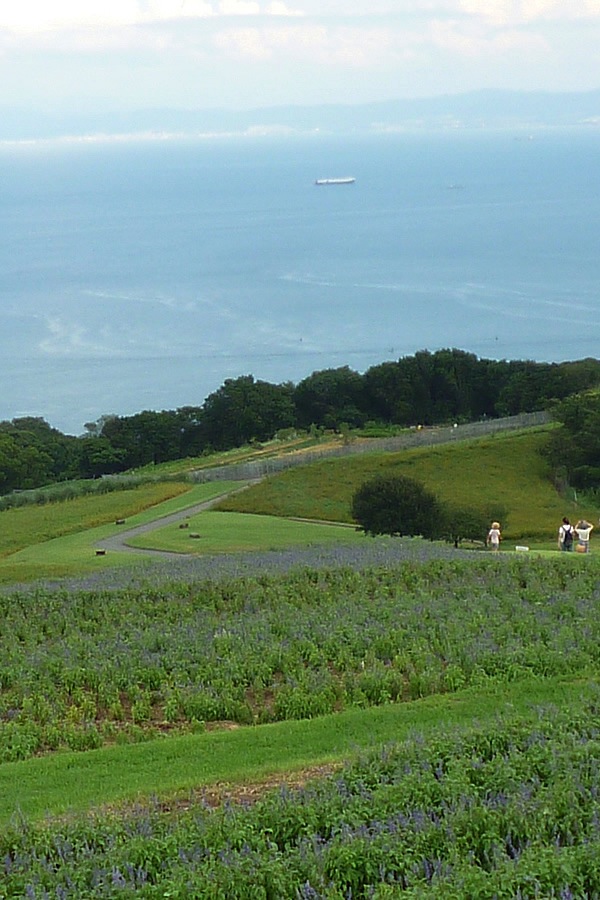 f0190950_1227663.jpg