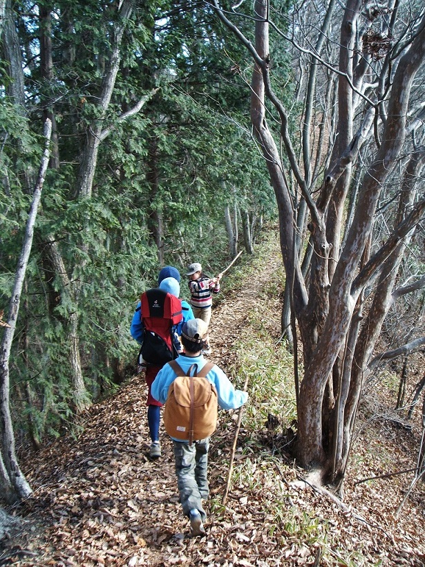 生藤山　デタラメハイキング_a0286351_23324456.jpg