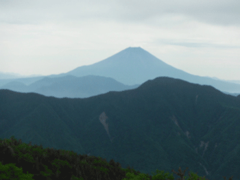 a0044453_10334581.gif