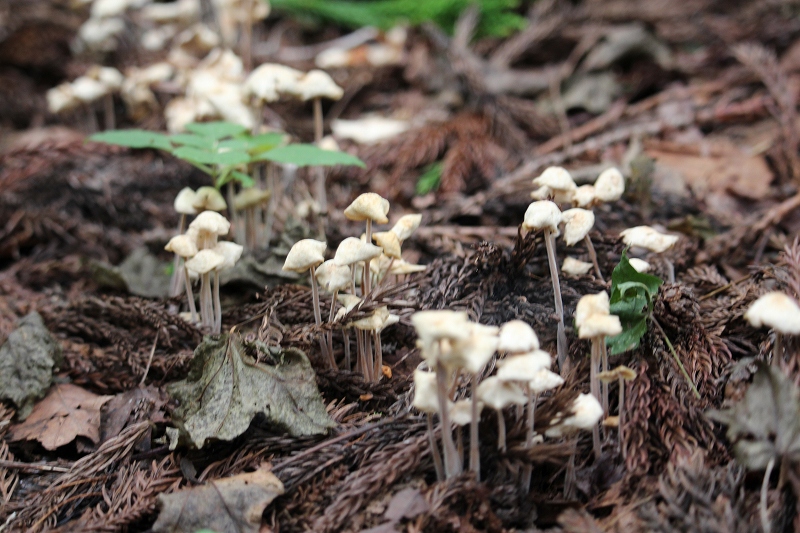 b0250154_16541115.jpg