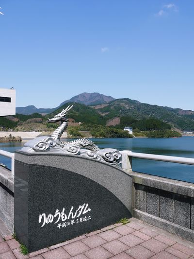 砂田米 お米の花と水管理_a0254656_17104166.jpg