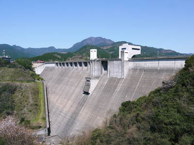 砂田米 お米の花と水管理_a0254656_17165764.jpg