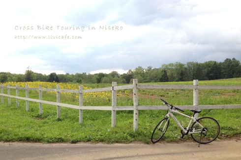 北海道のニセコへ　　自転車の楽しみ　_e0040957_1505555.jpg