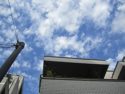 d0158258_86227.jpg