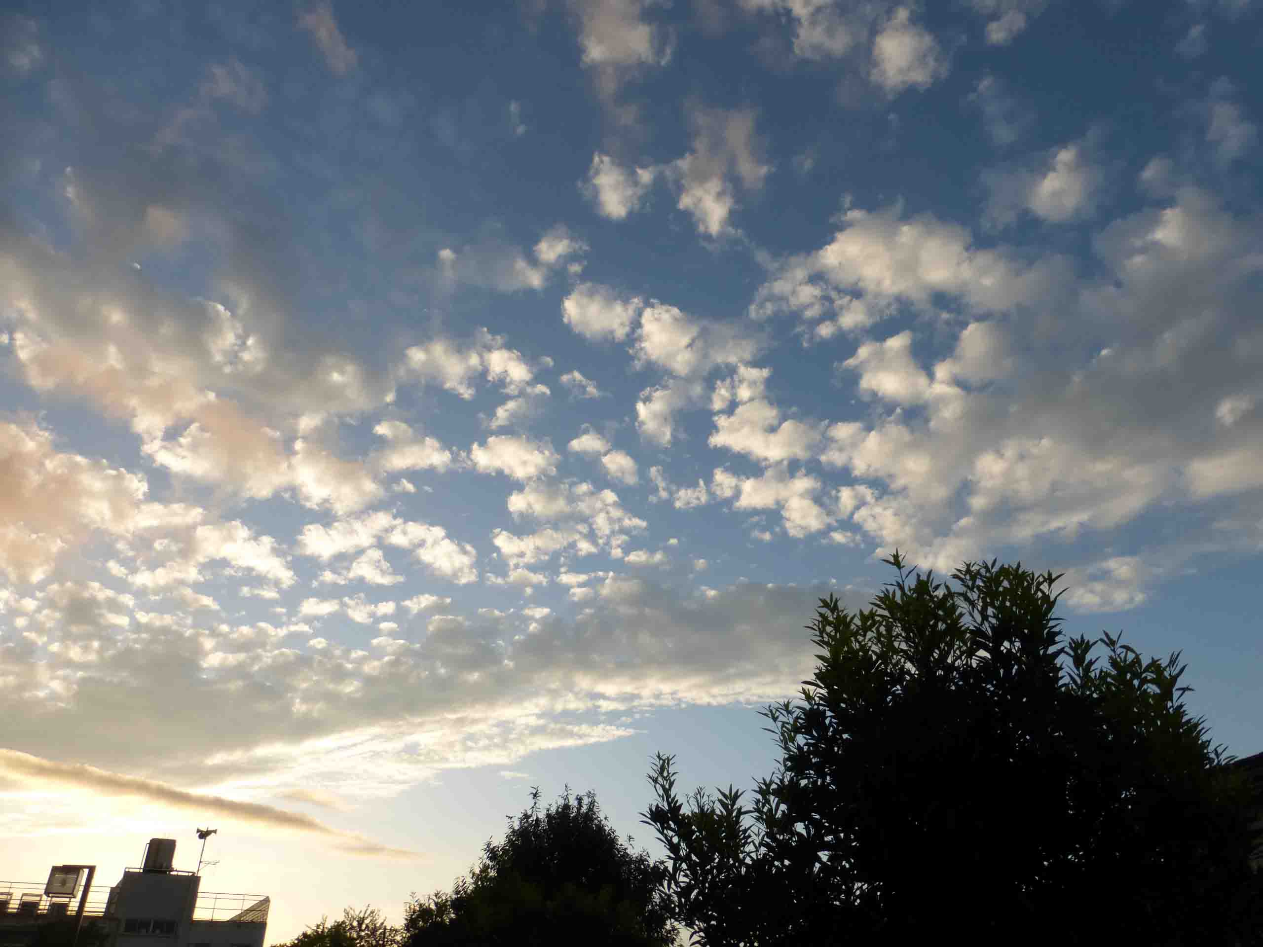 d0215861_0211758.jpg