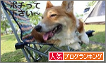 f0296165_10113155.png