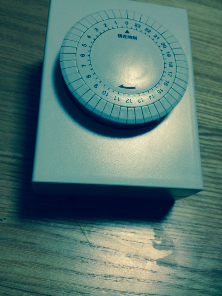 b0304573_18384628.jpg