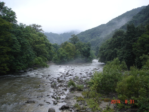 奥入瀬渓流　今朝は曇り空　このまま雨が降りませんように_d0165378_13245882.jpg