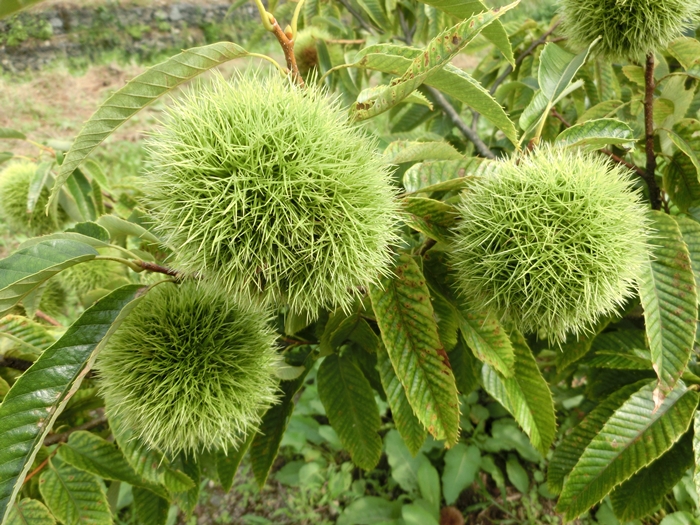 a0199979_18121691.jpg
