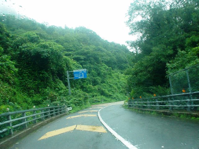 d0155582_02571.jpg