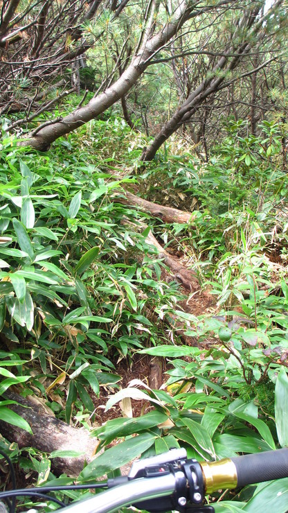 a0242984_1619398.jpg