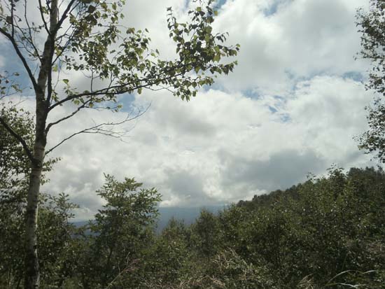 c0293787_8164558.jpg