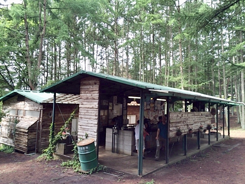 d0103292_22544416.jpg