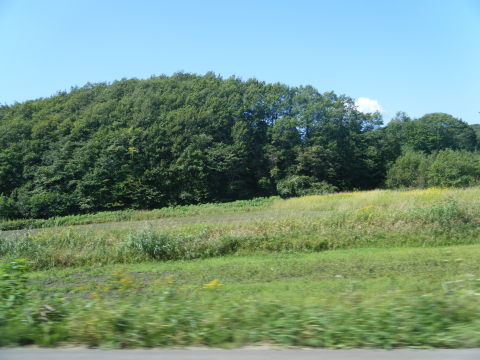夏なのか？秋なのか？やっぱり初秋なの？_b0343293_22244094.jpg