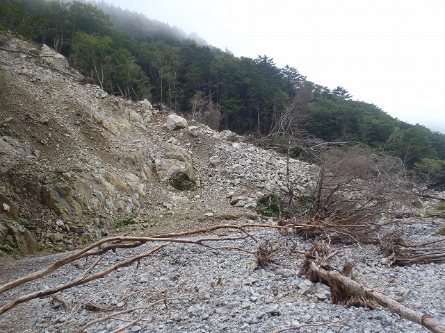 弥山双門ルート in 狼平へ3号がチャレンジ!(本編)_c0147398_16474417.jpg