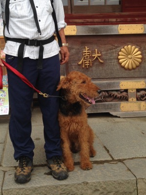 ワンとお参りする武蔵御岳神社_a0218499_21124117.jpg