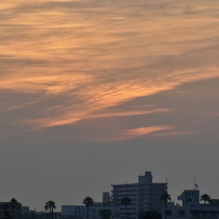 c0049299_22124734.jpg