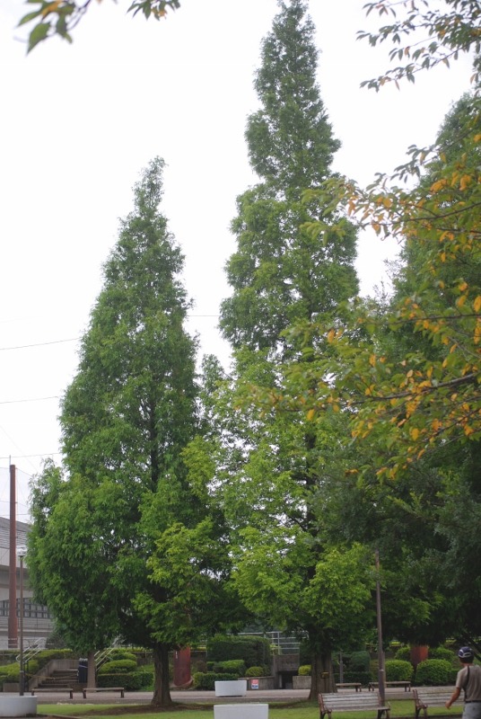 e0025300_16115932.jpg