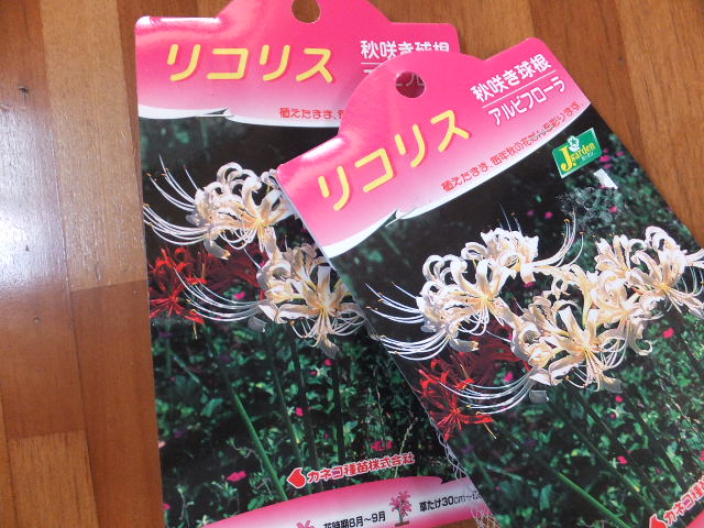 秋まきの花の種 テッキーの山歩き 秋まきの花の種 テッキーの山歩き