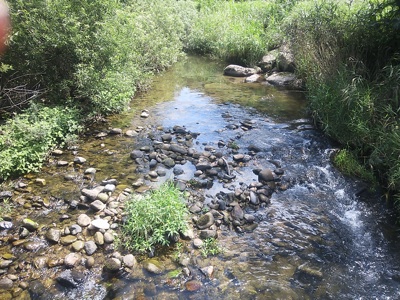 f0082402_21412064.jpg