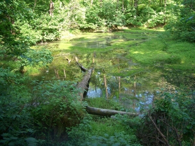b0300803_223117.jpg
