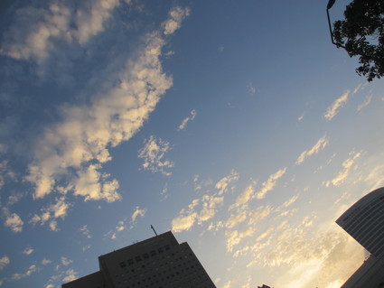 c0212604_20123031.jpg