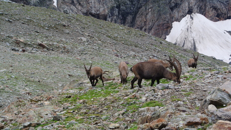 c0242406_13225480.jpg