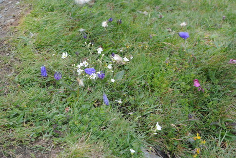 c0242406_13274417.jpg