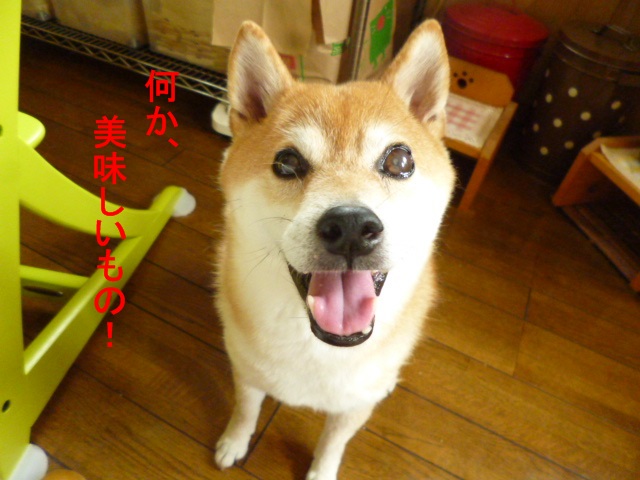 e0131506_11505360.jpg