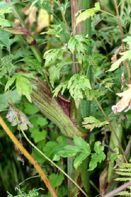f0041606_16393572.jpg