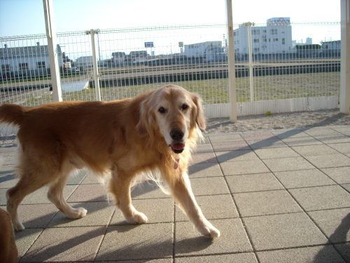 b0190908_21554511.jpg