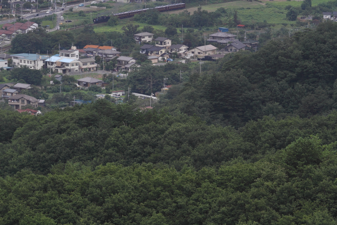 重なる山の麓を走る蒸気機関車 - 2014年晩夏・秩父 - _b0190710_2331222.jpg