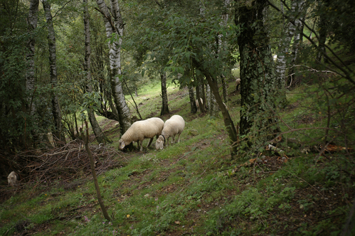 d0104210_13433061.jpg