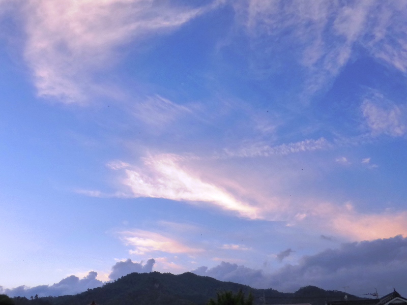 b0057612_1143263.jpg